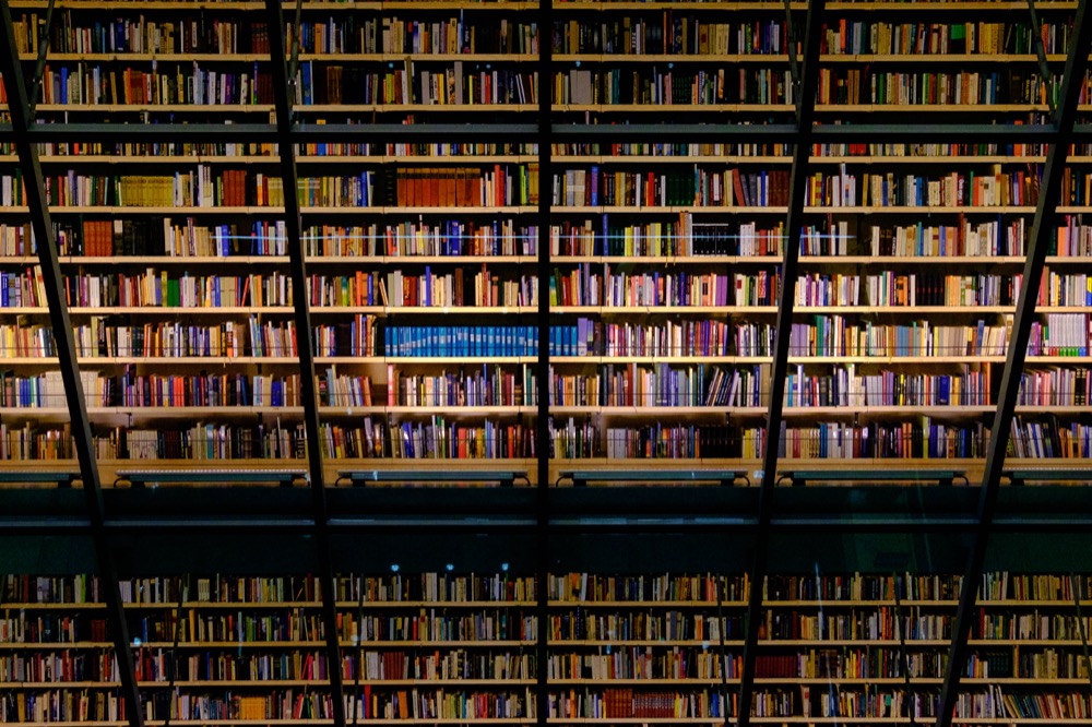 Books in the National Library of Latvia in Riga