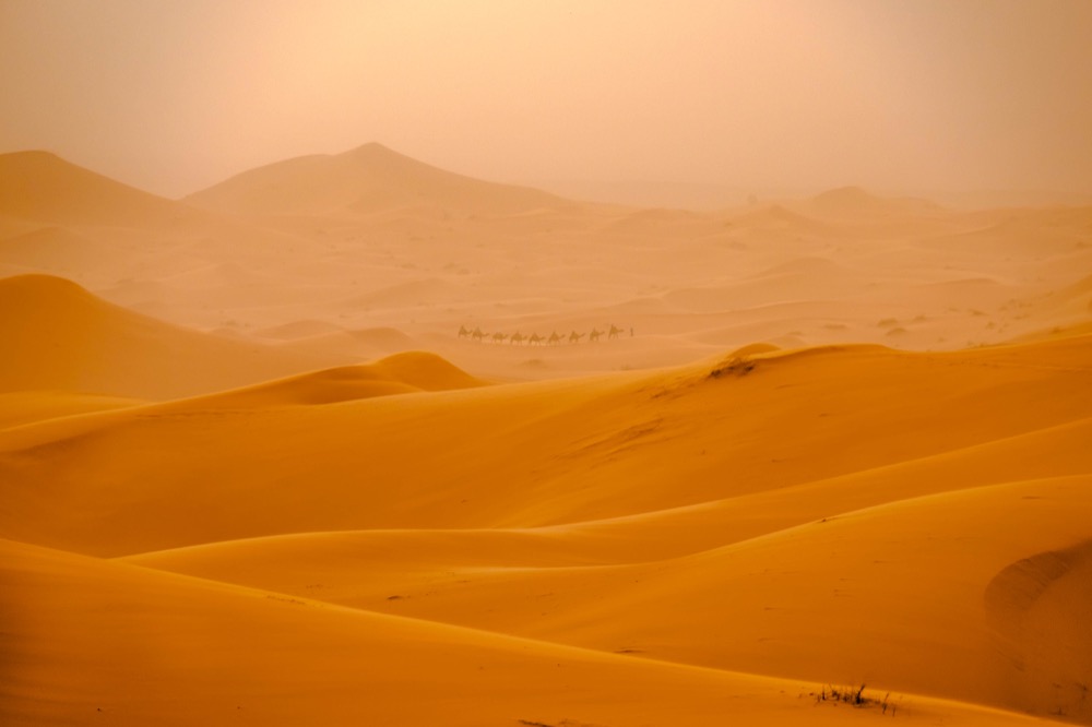 Caravan through the Sahara Desert