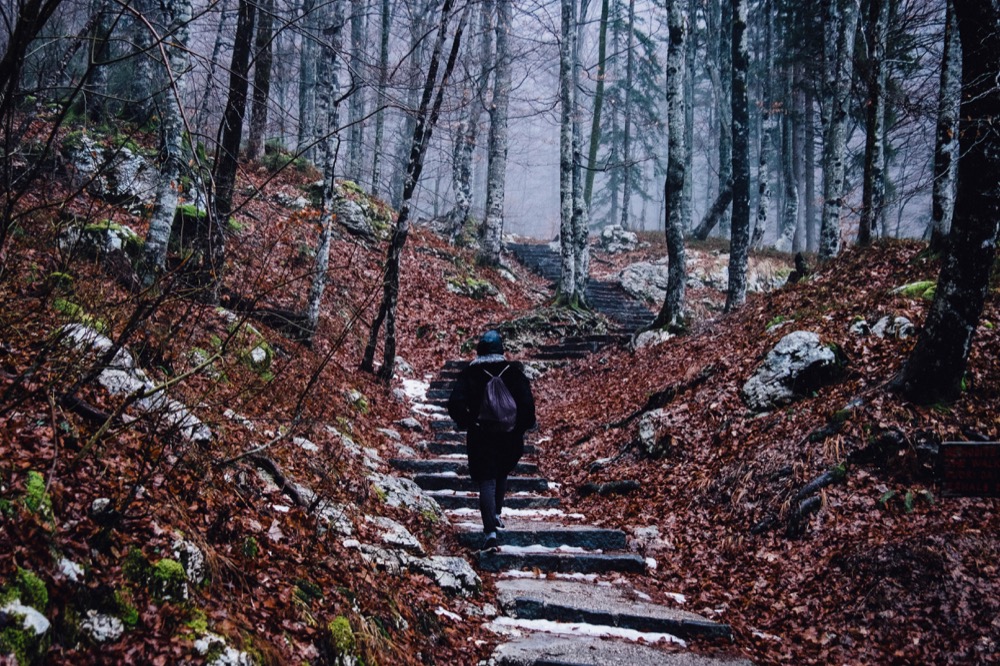 Forest walks in Slovenia